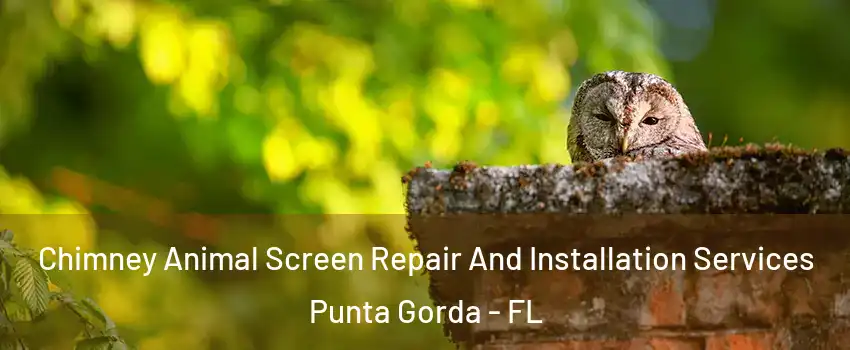 Chimney Animal Screen Repair And Installation Services Punta Gorda - FL