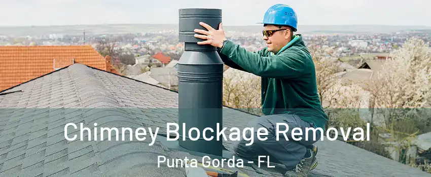 Chimney Blockage Removal Punta Gorda - FL