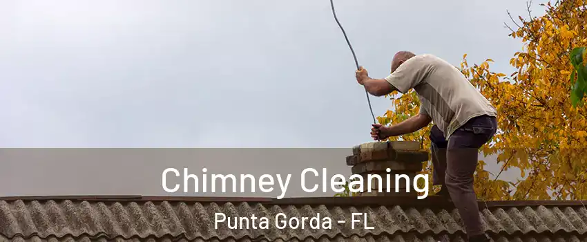 Chimney Cleaning Punta Gorda - FL
