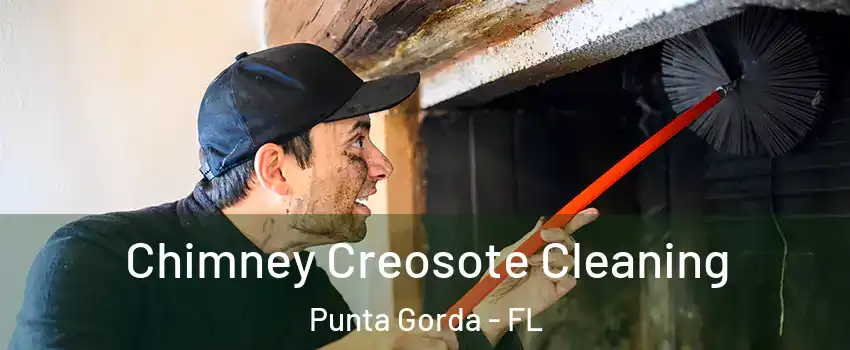 Chimney Creosote Cleaning Punta Gorda - FL