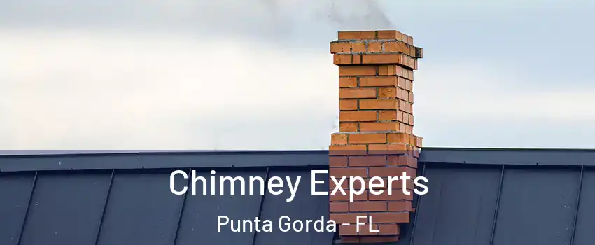 Chimney Experts Punta Gorda - FL