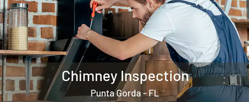 Chimney Inspection Punta Gorda - FL