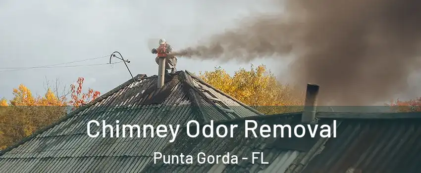 Chimney Odor Removal Punta Gorda - FL