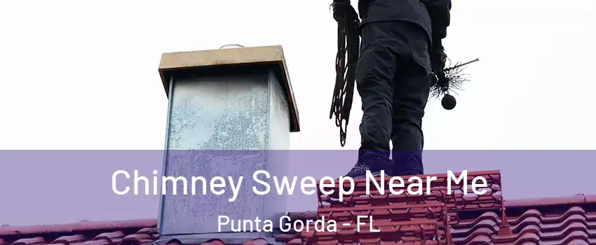 Chimney Sweep Near Me Punta Gorda - FL