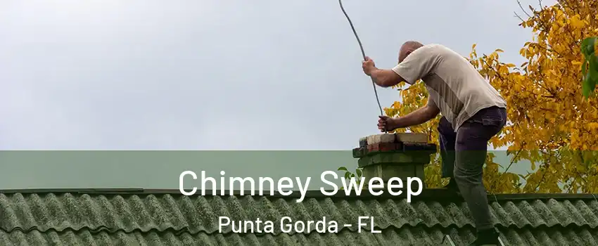 Chimney Sweep Punta Gorda - FL