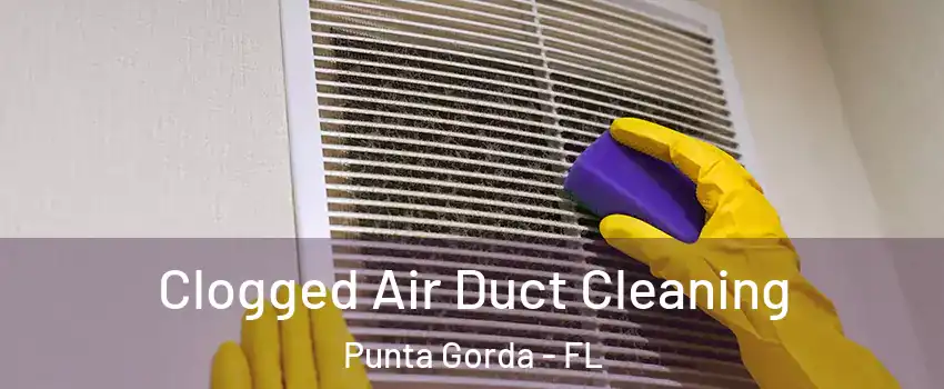 Clogged Air Duct Cleaning Punta Gorda - FL