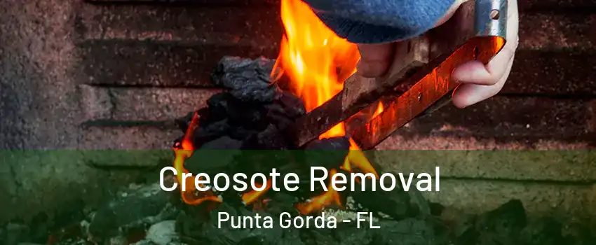 Creosote Removal Punta Gorda - FL