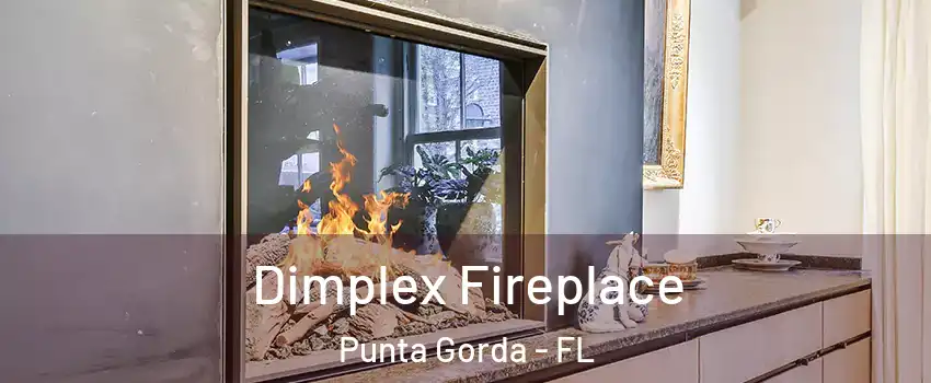 Dimplex Fireplace Punta Gorda - FL