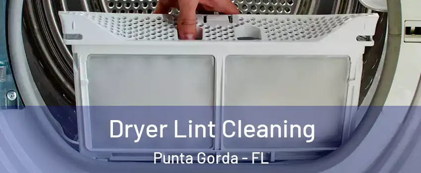Dryer Lint Cleaning Punta Gorda - FL