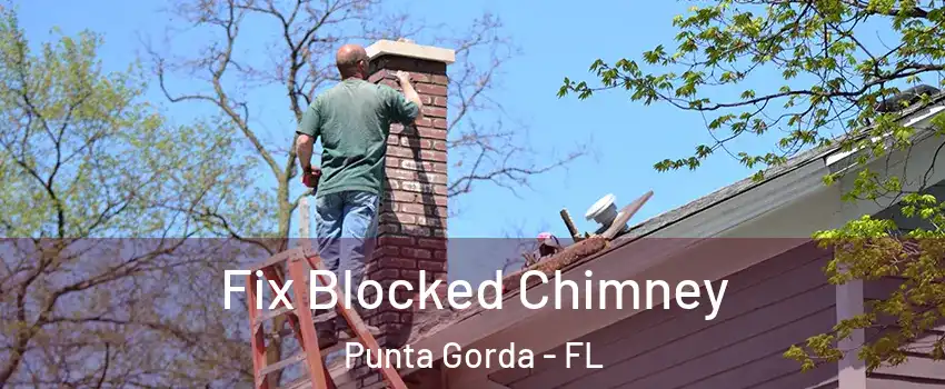 Fix Blocked Chimney Punta Gorda - FL