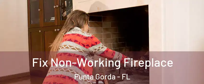 Fix Non-Working Fireplace Punta Gorda - FL