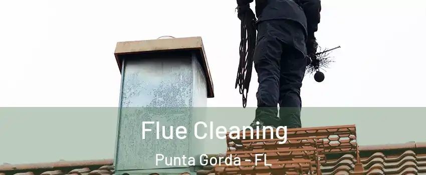 Flue Cleaning Punta Gorda - FL