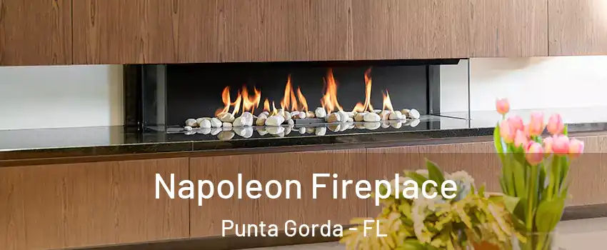 Napoleon Fireplace Punta Gorda - FL