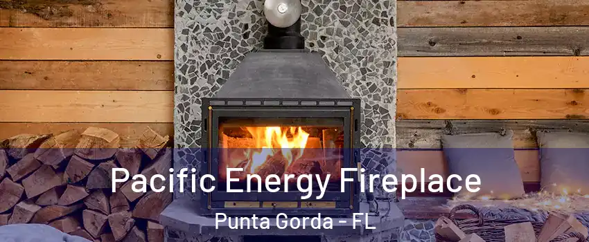 Pacific Energy Fireplace Punta Gorda - FL
